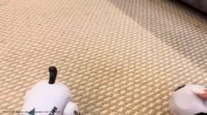 Интерактивный робот игрушка «Такса» , отличный друг для веселья с детьми.