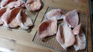 чему радуется заводчик собак, свиные уши?? питомник чихуахуа Кастропуло Крым