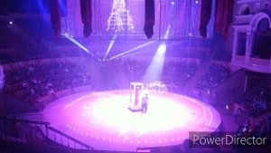 VLOG:Цирк на Фонтанке Волшебные фонтаны/экскурсия по Питеру!