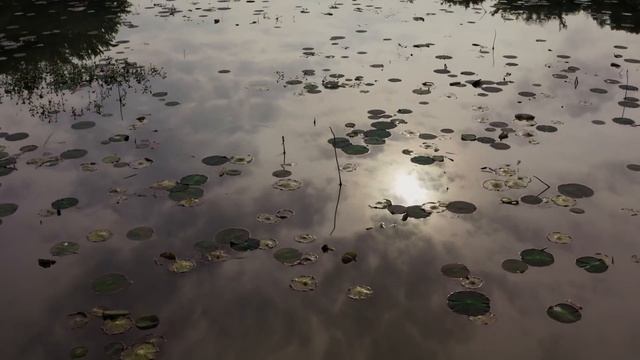 ДЕД из Пятёрочки РАССКАЗАЛ как ОПРЕДЕЛИТЬ где 100% стоит ЩУКА! [+ для новичков] SeMano TV смотреть онлайн