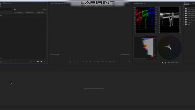 Урок 3. Правильно создаем секвенцию (Sequence) в ADOBE PREMIERE PRO смотреть онлайн