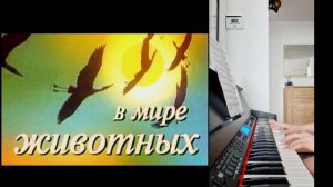 Piano Cover Музыка из передачи в мире животных (на электронном пианино)/Jennifer`s Piano