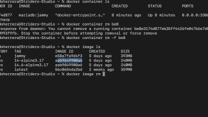 Docker - Tarea: Borrar todas las imágenes de Postgres