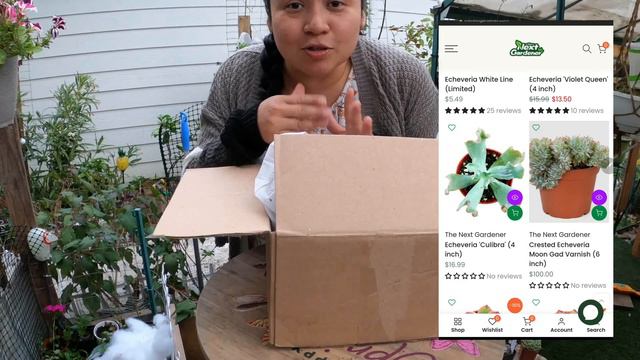Recibi Caja Llena d Suculentas para Mi Jardin😁😍@thenextgardener #jardineria #suculentas смотреть онлайн