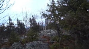 Гора Хариусный камень. Велопоход. Одиночный поход. Лес. Речка cеверная расоха. Нововильвенский. ПВД