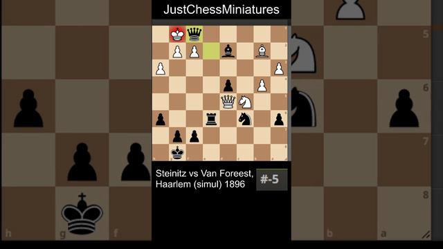 Steinitz blunders and Van Foreest wins with a backrank checkmate #chess