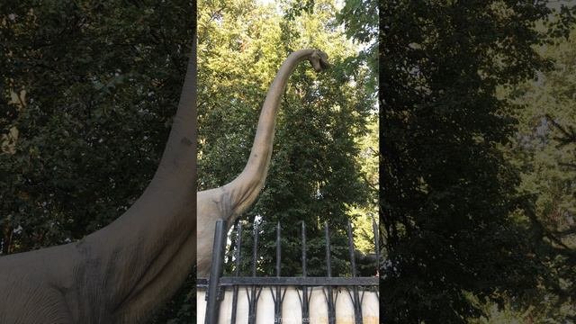 iPhone 8 - Тест камеры устройства (Фото & видео 4K)