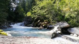 УСПОКАИВАЮЩИЕ ЗВУКИ ПРИРОДЫ / ПТИЦЫ И ШУМ ВОДЫ