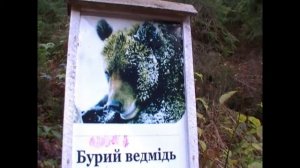 Синевирская Поляна, озеро Синевир