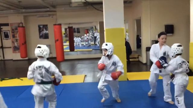 Тхеквондо .Тренер Мартыщенко Фёдор Геннадьевич смотреть онлайн