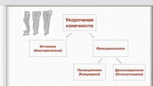 3. Определение длины и окружности конечностей