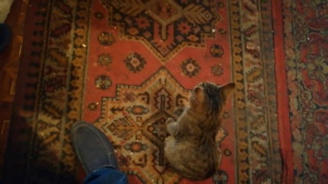 ДЕГУСТАЦИЯ ФАНФУРИКОВ смотреть онлайн