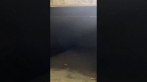 Пресс гидравлический для набивки грибных блоков Вешенка, либо иное применение.