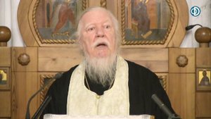 Проповедь о безумии зла и о Божьем благоволении к человеку. Димитрий Смирнов