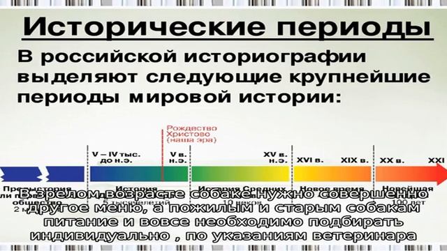 Всё о питании собак смотреть онлайн