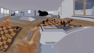 Chess With Maxwell The Cat in 360° VR/4K