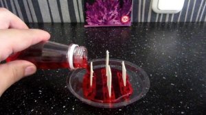 ВЫРАЩИВАЕМ ? КРИСТАЛЛЫ В ДОМАШНИХ УСЛОВИЯХ ⚗️ Опыты по физике ➄
