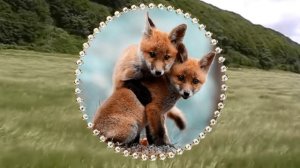 Рыжая, рыжая не своди с ума парней! Смешное видео!!!