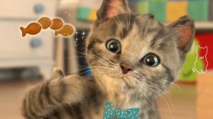 Little Kitten fun adventure game! Маленький котенок смешная игра 😸