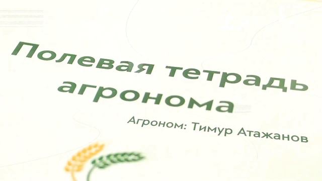 Пикировка рассады томатов с Тимуром Атажановым (АгроДвиж)