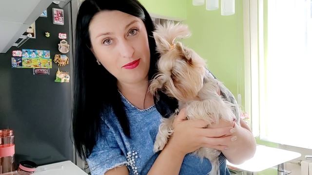 Крылышки ? в Абрикосовом ВАРЕНЬЕ/Попробуйте обязательно ? смотреть онлайн