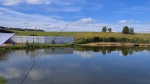 Ловим карпа на херабуну - насадки красная сакура, зеленый бамбук и белый туман