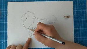 рисуем животных поэтапно