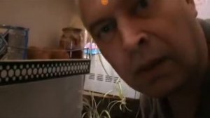 а я не понял ? что вы делаете в моём холодильнике ? вы что хотите кушать?