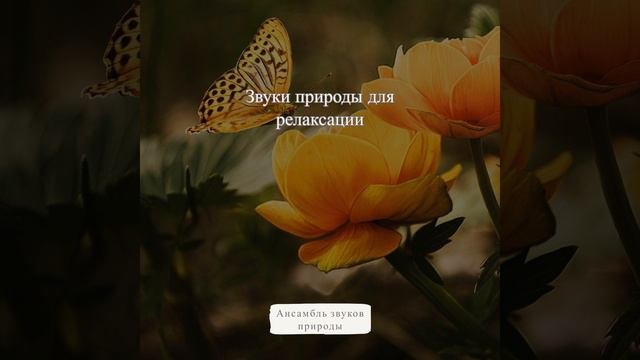 Плещущиеся волны