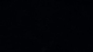 Большая охота на вальдшнепа  !!!