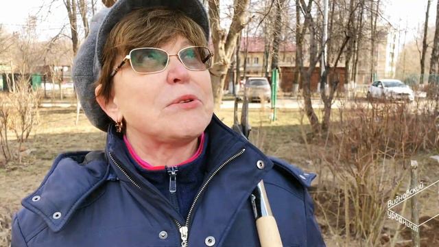 Зоя Ивановна Целыковская. Как обрезать деревья. Про город-сад Видное и благоустройство. смотреть онлайн