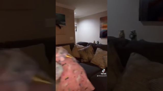 Sisi y @leslygarciaofficial 👀 смотреть онлайн