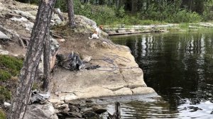 Активный отдых с семьей в Карелии | Охота и рыбалка | 2020 год