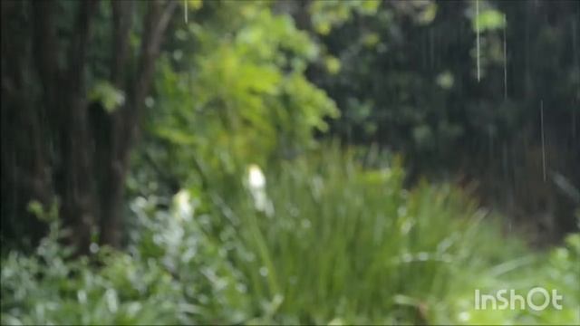 Sounds of rain.Thunder.Thunderstorm.Гроза,гром.Шум дождя. смотреть онлайн