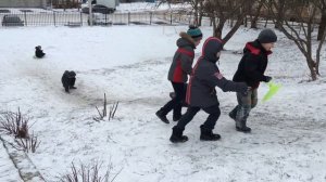 Дети говорят: так безопаснее, чем на санках)))