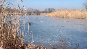 ✅Динской р-н ,село Красносельское/✅26 соток /Фасад 35,17 метров  /Напротив река 👍🏻Цена :3.300🍋
