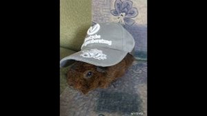 "Фирменная" бейсболка. | #Обзор