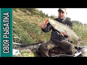 Вот так порадовал! Рыбалка на Волге