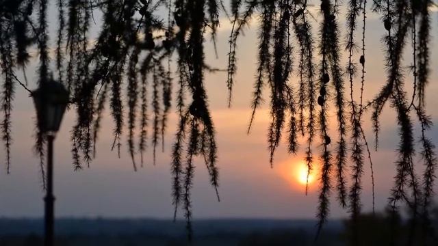 Молитва Оптинских Старцев смотреть онлайн