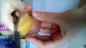 Штампы из картошки