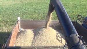 Фермер из Иглинского района Разап Юнусов