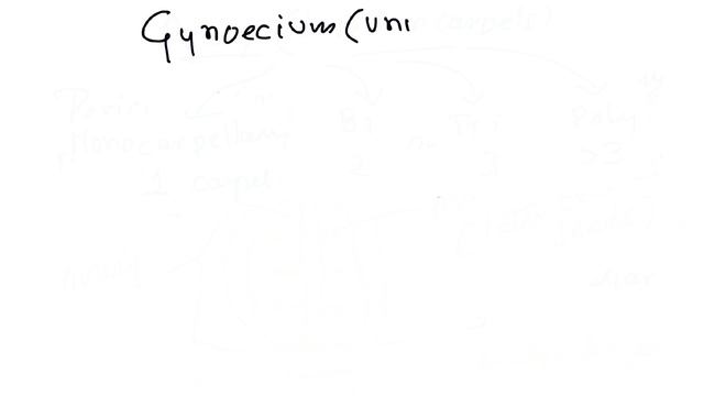 NEET 2021 Quick Revision - Biology , Floral Morphology , Part 4 : Gynoecium