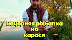 Крупный карась на вечернюю рыбалку ловля на убицу карася