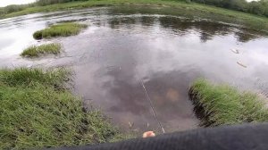 Сплав за голавлём. Второй день рыбалки с ночёвкой.