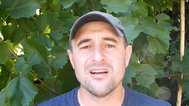 Теперь есть понимание куда и с какой скоростью двигаться смотреть онлайн