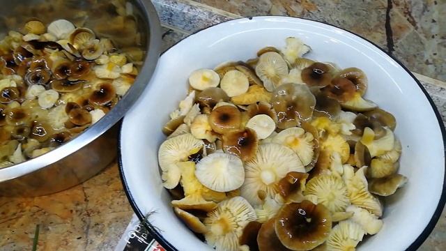 VID 20211101 225035 смотреть онлайн