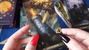 Таро Зеленой ведьмы: красивая неоязыческая колода #обзор #таро