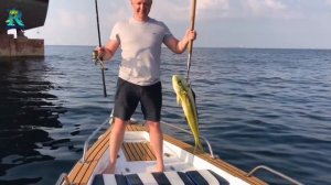 Рыбалка в Фуджейре для новичков