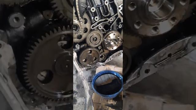 OM651 замена маслени насос смотреть онлайн