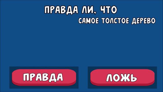 в.2